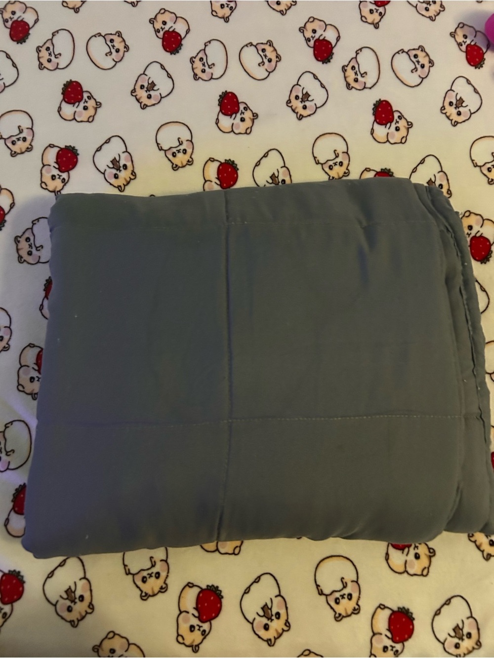 Bedding home weighted blanket 10x12